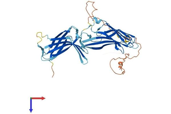 TXNIP Protein (AA 1-397) (His tag)