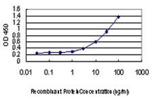 Detection limit for recombinant GST tagged CHMP2B is approximately 1ng/ml as a capture antibody. (CHMP2B Antikörper  (AA 1-213))