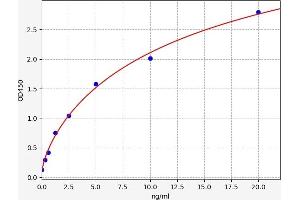Estrogen Receptor 1 (ESR1) ELISA Kit