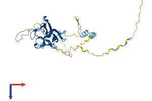 MVB12B Protein (AA 1-317) (His tag)