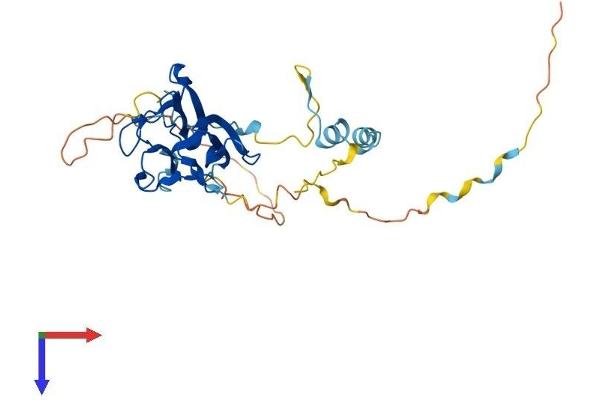 MVB12B Protein (AA 1-317) (His tag)