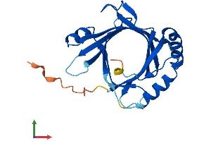 AlphaFold protein structure predicition of Human Recombinant MED18 Protein, UniprotID Q9BUE0