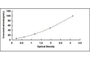 Typical standard curve (ICAM1 ELISA Kit)