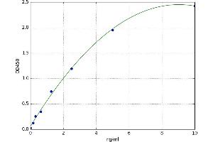 Ephrin A1 (EFNA1) ELISA Kit