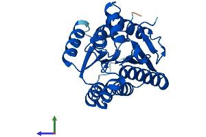 Protein Structure (PS) image for Sepiapterin Reductase (SPR) (AA 1-261) protein (His tag) (ABIN7546230)