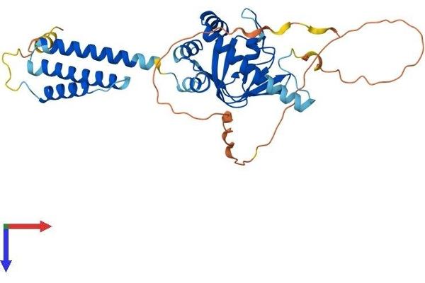 POPDC2 Protein (AA 1-364) (His tag)
