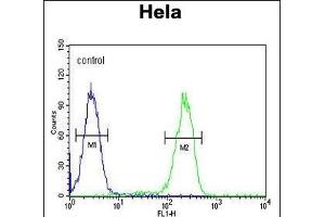 UBA52 Antibody (C-Term) (ABIN654135 and ABIN2844007) flow cytometric analysis of Hela cells (right histogram) compared to a negative control cell (left histogram). (UBA52 Antikörper  (C-Term))