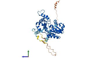 Protein Structure (PS) image for Carbohydrate (N-Acetylgalactosamine 4-0) Sulfotransferase 14 (CHST14) (AA 1-376) protein (His tag) (ABIN7553480)