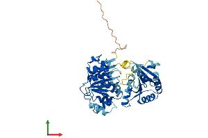 Protein Structure (PS) image for Eukaryotic Translation Initiation Factor 4A2 (EIF4A2) (AA 1-407) protein (His tag) (ABIN7562829)