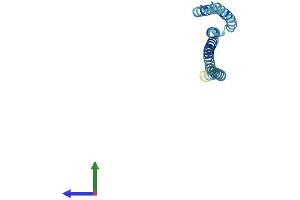 Protein Structure (PS) image for Golgi SNAP Receptor Complex Member 2 (GOSR2) (AA 1-212) protein (His tag) (ABIN7562274)