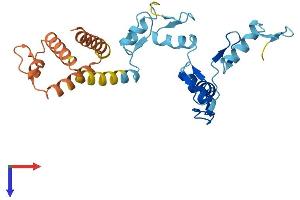 AlphaFold protein structure predicition of Human Recombinant ZNF138 Protein, UniprotID P52744