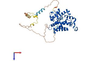 ELMOD3 Protein (AA 1-381) (His tag)