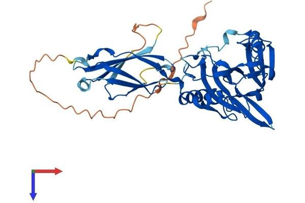 PHYHIPL Protein (AA 1-376) (His tag)