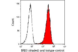 Flow Cytometry (FACS) image for anti-Bromodomain Containing 3 (BRD3) (AA 676-726) antibody (ABIN7454022) (Rekombinanter BRD3 Antikörper  (AA 676-726))