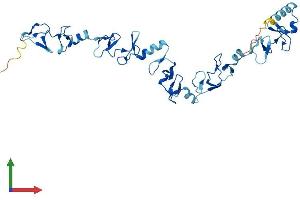 Protein Structure (PS) image for LIM and Senescent Cell Antigen-Like Domains 2 (LIMS2) (AA 1-341) protein (His tag) (ABIN7560083)