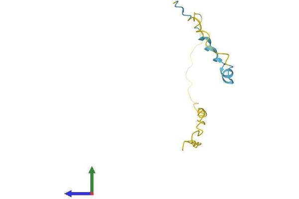 HMGN3 Protein (AA 1-99) (His tag)