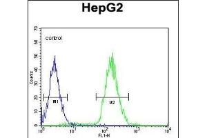 Cdc14 Antibody (ABIN652436 and ABIN2842275) flow cytometric analysis of HepG2 cells (right histogram) compared to a negative control cell (left histogram). (CDC14A Antikörper)