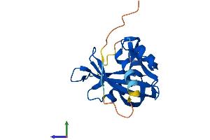 Protein Structure (PS) image for Nudix (Nucleoside Diphosphate Linked Moiety X)-Type Motif 3 (NUDT3) (AA 1-172) protein (His tag) (ABIN7550197)