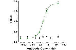 Immobilized human PD-L1 FC at 2 μg/mL can bind Anti-TGFb1 Reference Antibody (M7824), EC50=0. (Rekombinanter TGFB1 Antikörper)