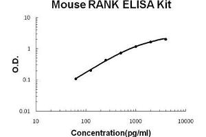 Mouse RANK PicoKine ELISA Kit standard curve (TNFRSF11A ELISA Kit)