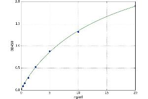 GATA Binding Protein 4 (GATA4) ELISA Kit