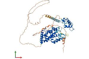 Protein Structure (PS) image for Nuclear Receptor Subfamily 5, Group A, Member 2 (NR5A2) (AA 1-541) protein (His tag) (ABIN7549804)