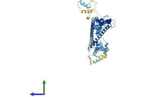 Protein Structure (PS) image for DnaJ (Hsp40) Homolog, Subfamily C, Member 2 (DNAJC2) (AA 1-621) protein (His tag) (ABIN7563444)