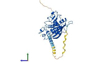 Protein Structure (PS) image for Xylosylprotein beta 1,4-Galactosyltransferase, Polypeptide 7 (Galactosyltransferase I) (B4GALT7) (AA 1-327) protein (His tag) (ABIN7552601)