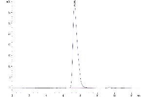 Size-exclusion chromatography-High Pressure Liquid Chromatography (SEC-HPLC) image for Glycophorin A (GYPA) (AA 20-91) protein (Fc Tag) (ABIN7274765)