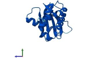 Protein Structure (PS) image for Adaptor-Related Protein Complex 2, sigma 1 Subunit (AP2S1) (AA 1-142) protein (His tag) (ABIN7563500)