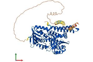 Protein Structure (PS) image for Squalene Epoxidase (SQLE) (AA 1-572) protein (His tag) (ABIN7563412)