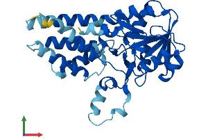 Protein Structure (PS) image for Eukaryotic Translation Initiation Factor 2B, Subunit 1 Alpha, 26kDa (EIF2B1) (AA 1-305) protein (His tag) (ABIN7560359)
