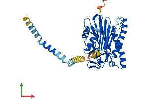 Protein Structure (PS) image for Protein Phosphatase, Mg2+/Mn2+ Dependent, 1L (PPM1L) (AA 1-360) protein (His tag) (ABIN7550950)