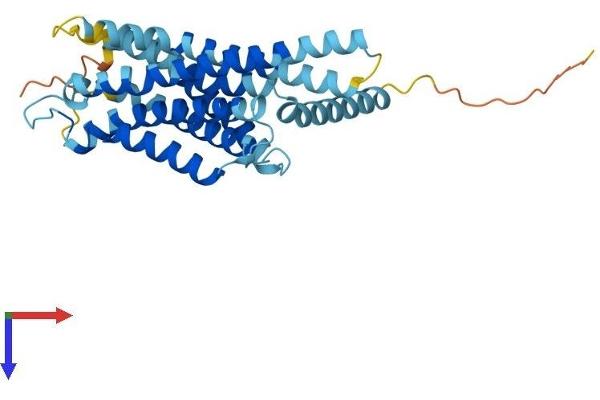 GPBAR1 Protein (AA 1-329) (His tag)