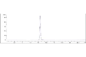 anti-IL6 (Sirukumab Biosimilar) antibody