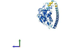 Protein Structure (PS) image for Ring Finger Protein 41 (RNF41) (AA 1-317) protein (His tag) (ABIN7555244)