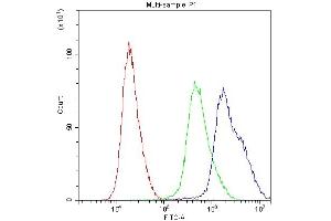 Flow Cytometry analysis of U251 cells using anti-PPID antibody (ABIN5693052).
