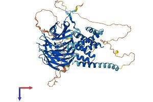 KATNB1 Protein (AA 1-658) (His tag)