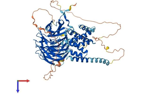 KATNB1 Protein (AA 1-658) (His tag)