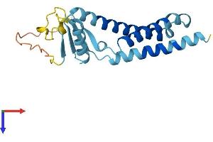 TMEM11 Protein (AA 1-190) (His tag)