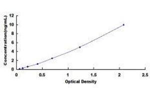 Proteolipid Protein 2 (PLP2) ELISA Kit