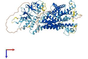 CLCN3 Protein (AA 1-818) (His tag)