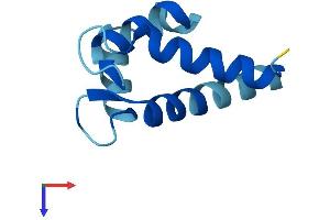 S100A6 Protein (AA 1-90) (His tag)