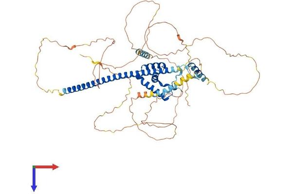 SOX13 Protein (AA 1-613) (His tag)