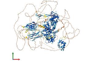 Protein Structure (PS) image for HECT, C2 and WW Domain Containing E3 Ubiquitin Protein Ligase 2 (HECW2) (AA 1-1572) protein (His tag) (ABIN7554067)
