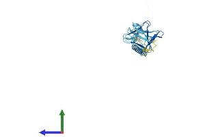 AlphaFold protein structure predicition of Human Recombinant SGCG Protein, UniprotID Q13326