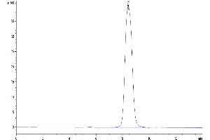 The purity of Human GHR is greater than 95 % as determined by SEC-HPLC. (Growth Hormone Receptor Protein (GHR) (AA 27-264) (His tag))