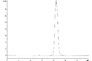 The purity of Human GHR is greater than 95 % as determined by SEC-HPLC.