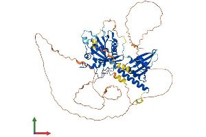 AlphaFold protein structure predicition of Mouse Recombinant Rap1gap Protein, UniprotID A2ALS5
