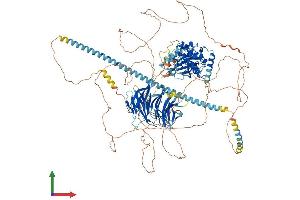 Protein Structure (PS) image for Misshapen-Like Kinase 1 (MINK1) (AA 1-1332) protein (His tag) (ABIN7554561)